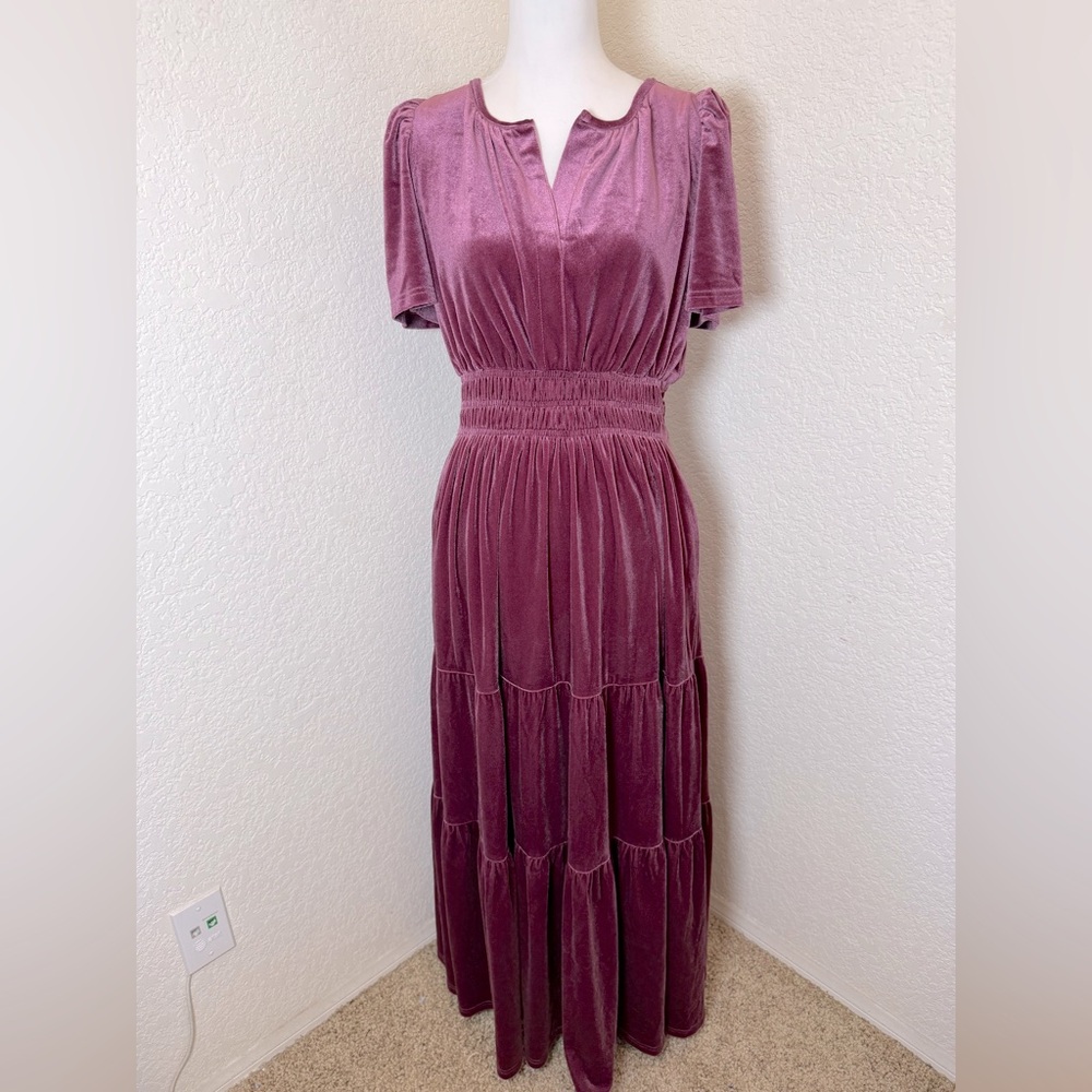 See and Be Seen Velvet Maxi Dress. ‎ NEW Size Small